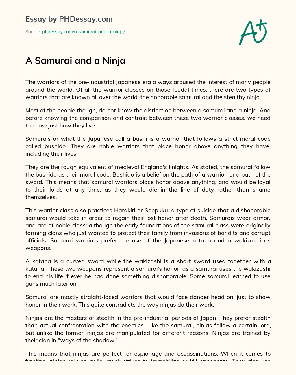 A Samurai and a Ninja essay