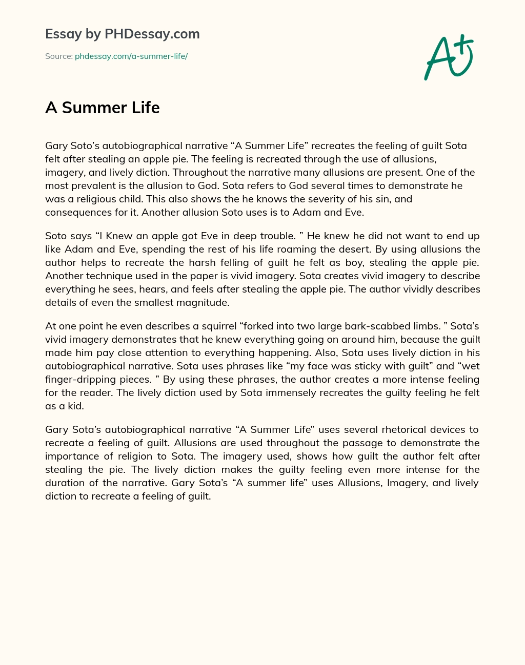 A Summer Life essay
