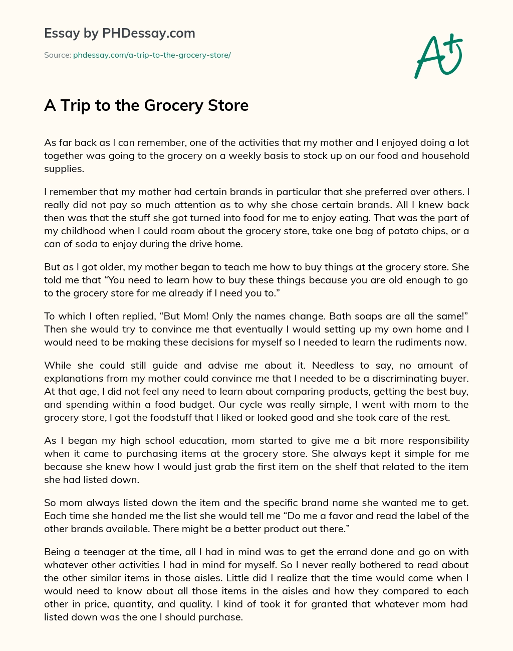 A Trip to the Grocery Store essay