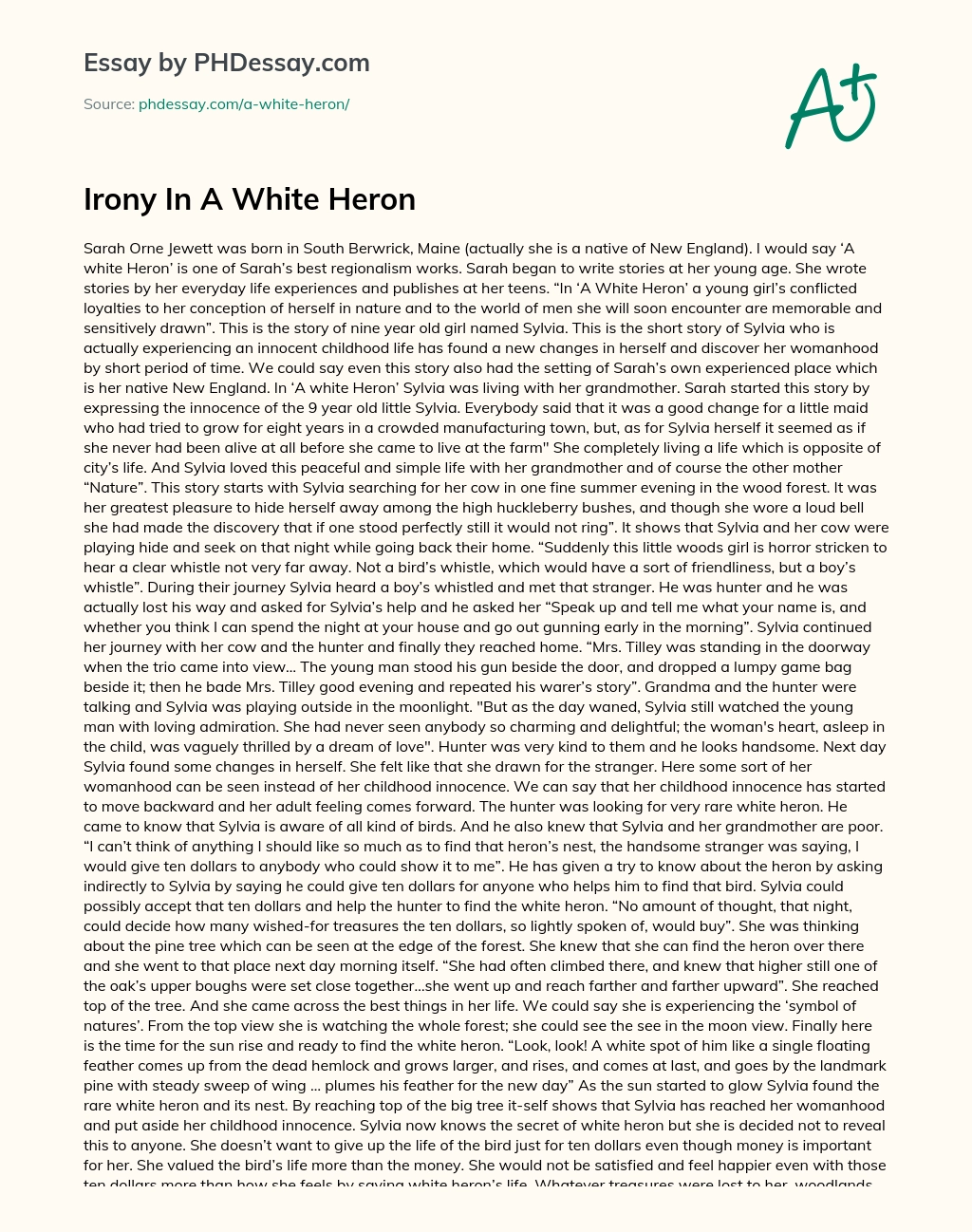 Irony In A White Heron essay