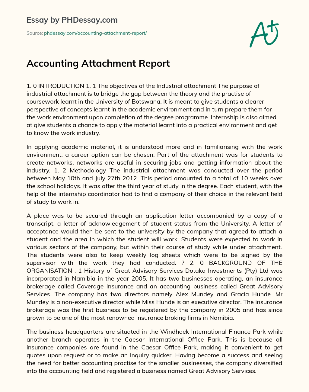Accounting Attachment Report essay