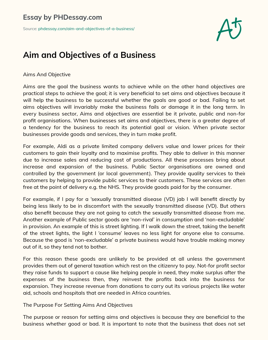 Aim and Objectives of a Business essay