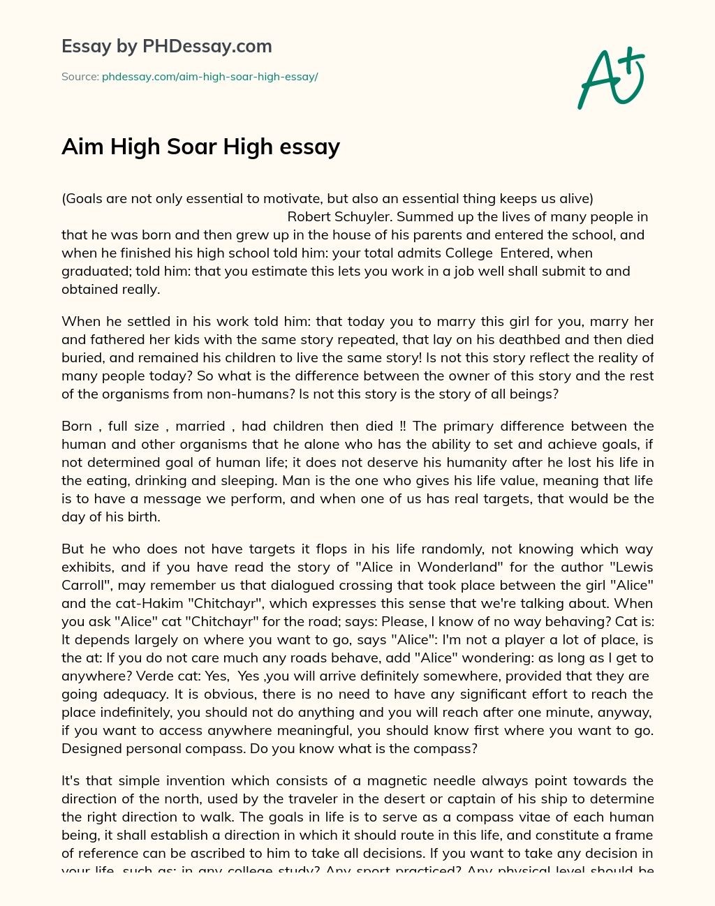 Aim High Soar High essay essay