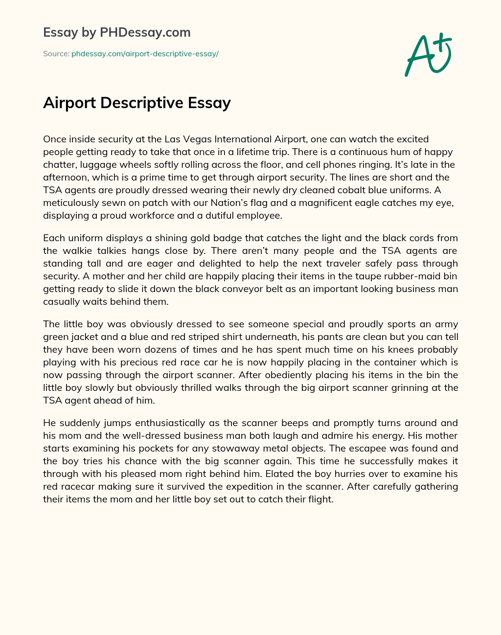 Airport Descriptive Essay essay