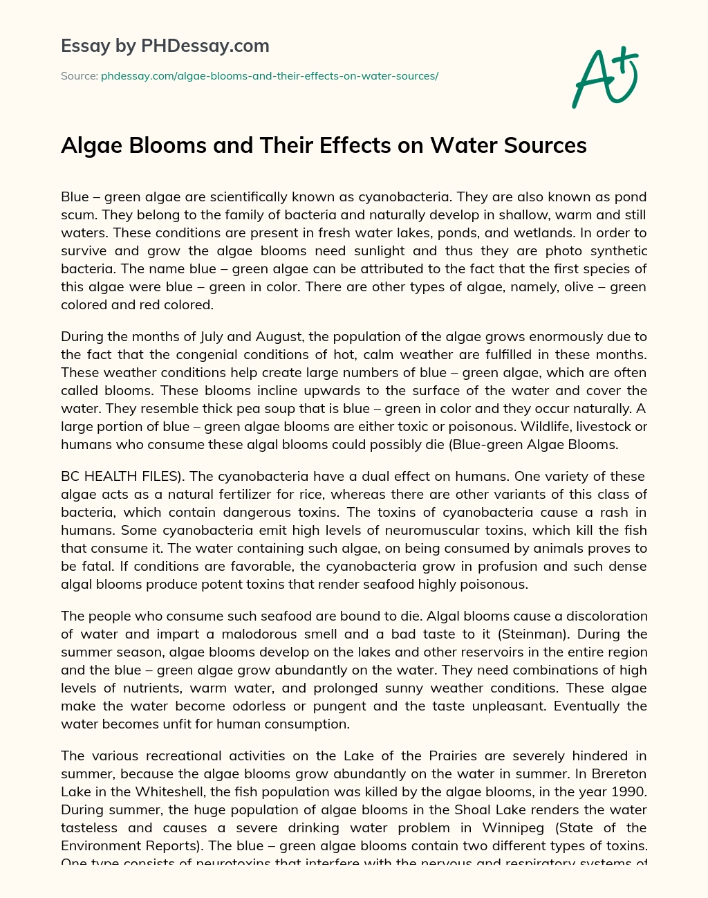 Algae Blooms and Their Effects on Water Sources essay