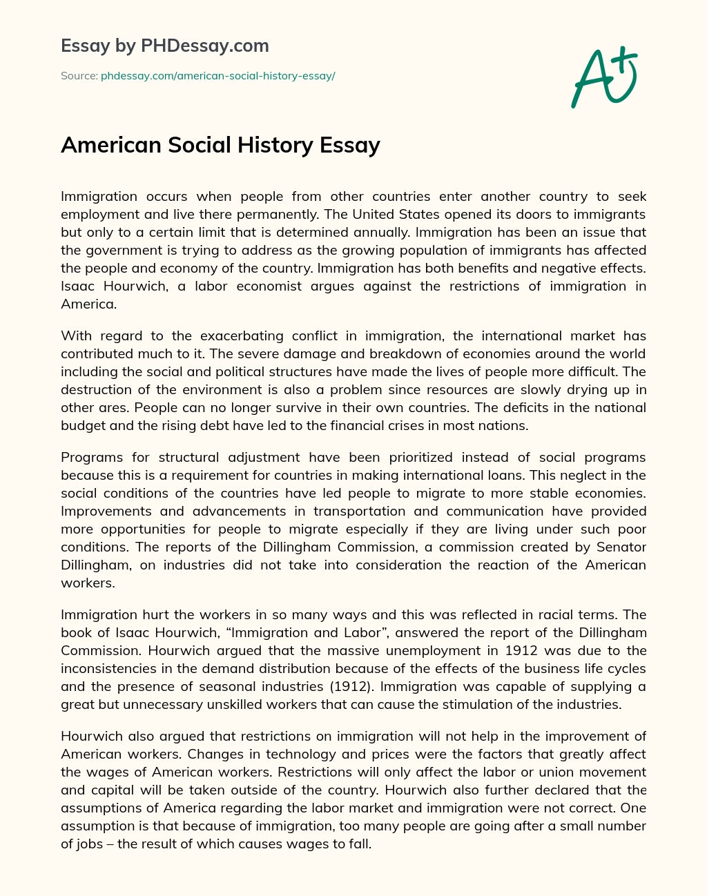 American Social History Essay essay