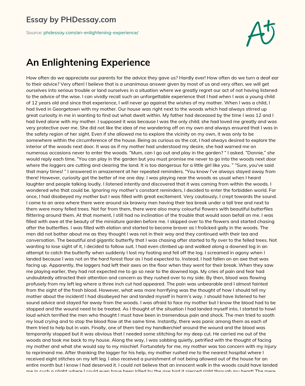 An Enlightening Experience essay