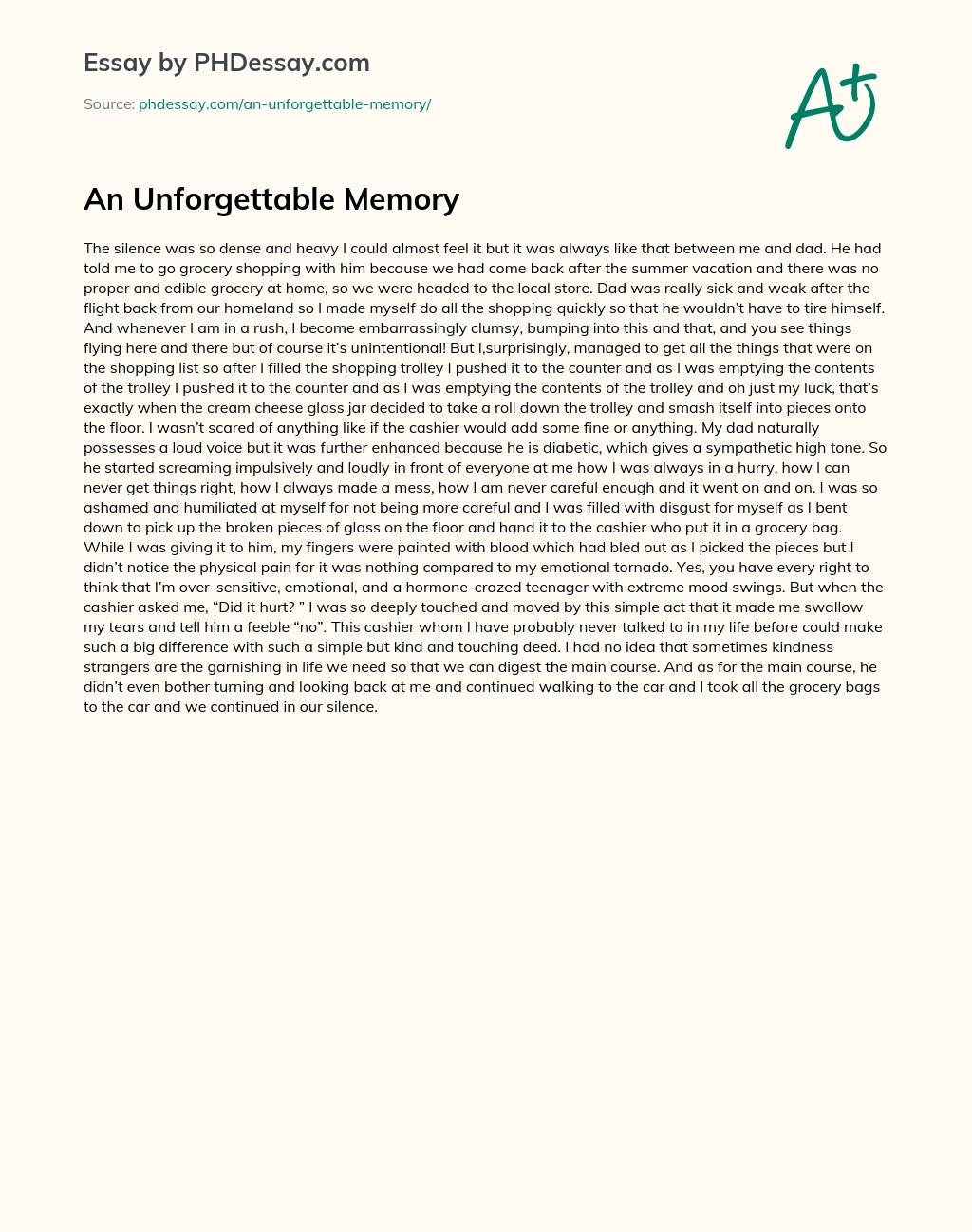 An Unforgettable Memory essay