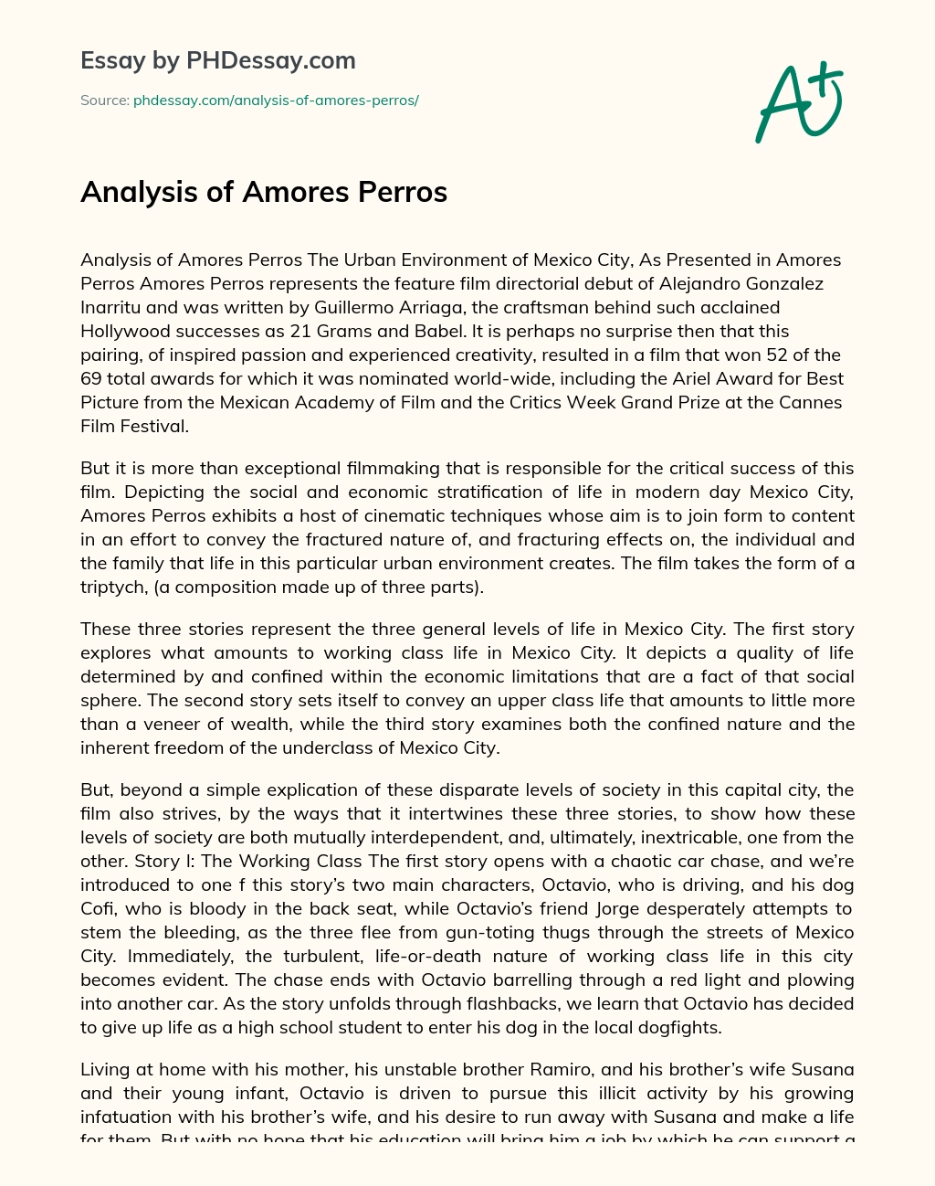 Analysis of Amores Perros essay