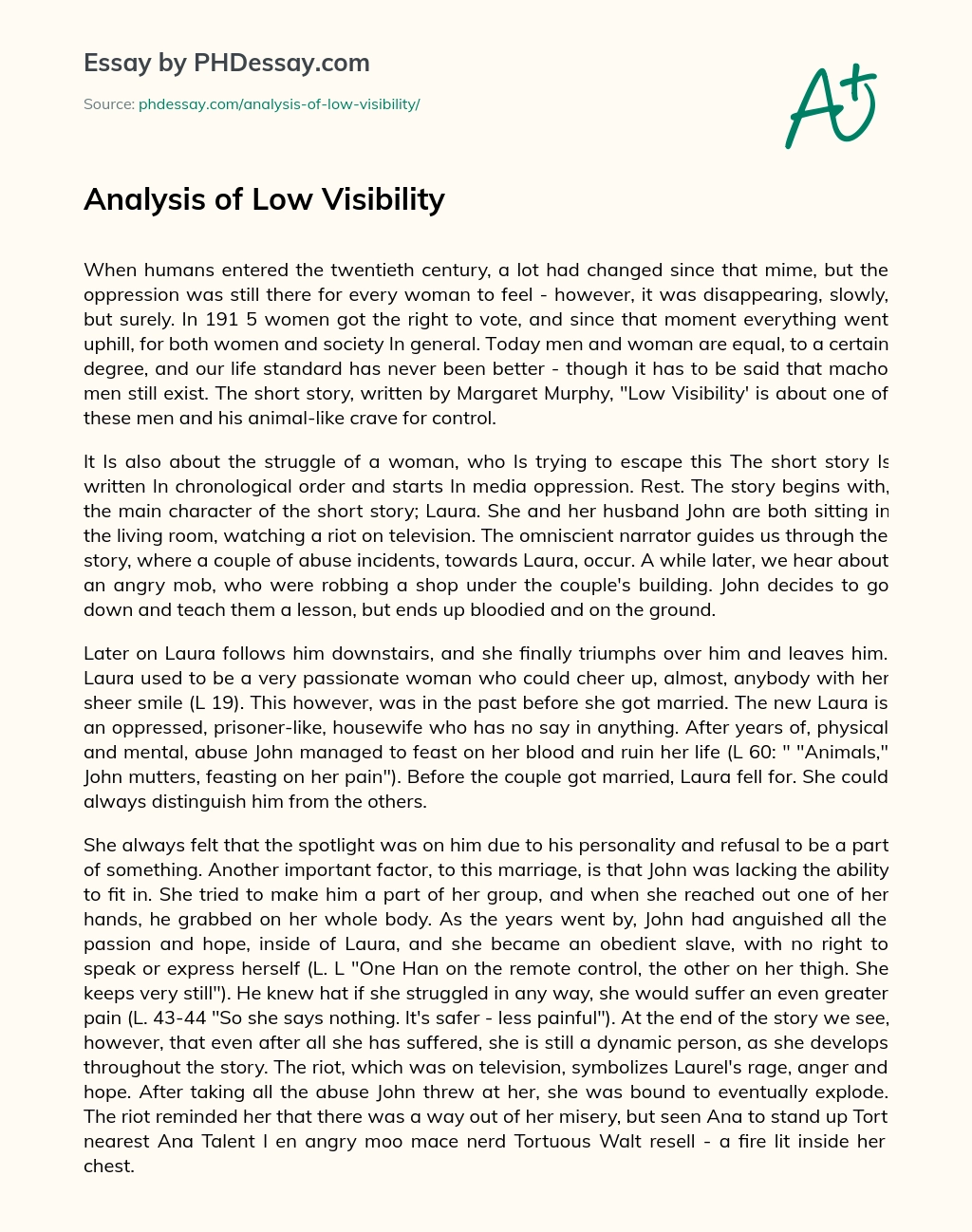 Analysis of Low Visibility essay