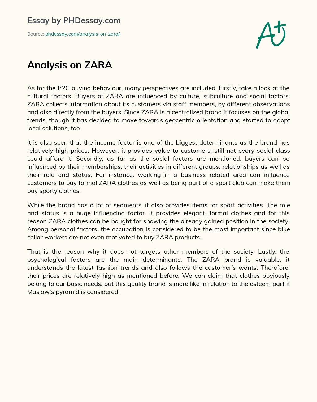 Analysis on ZARA essay