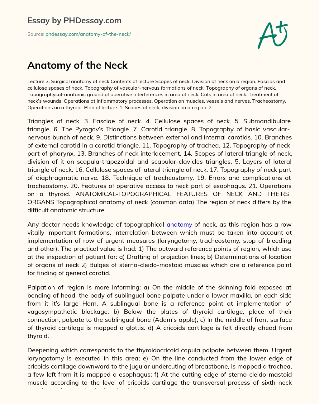 Anatomy of the Neck essay