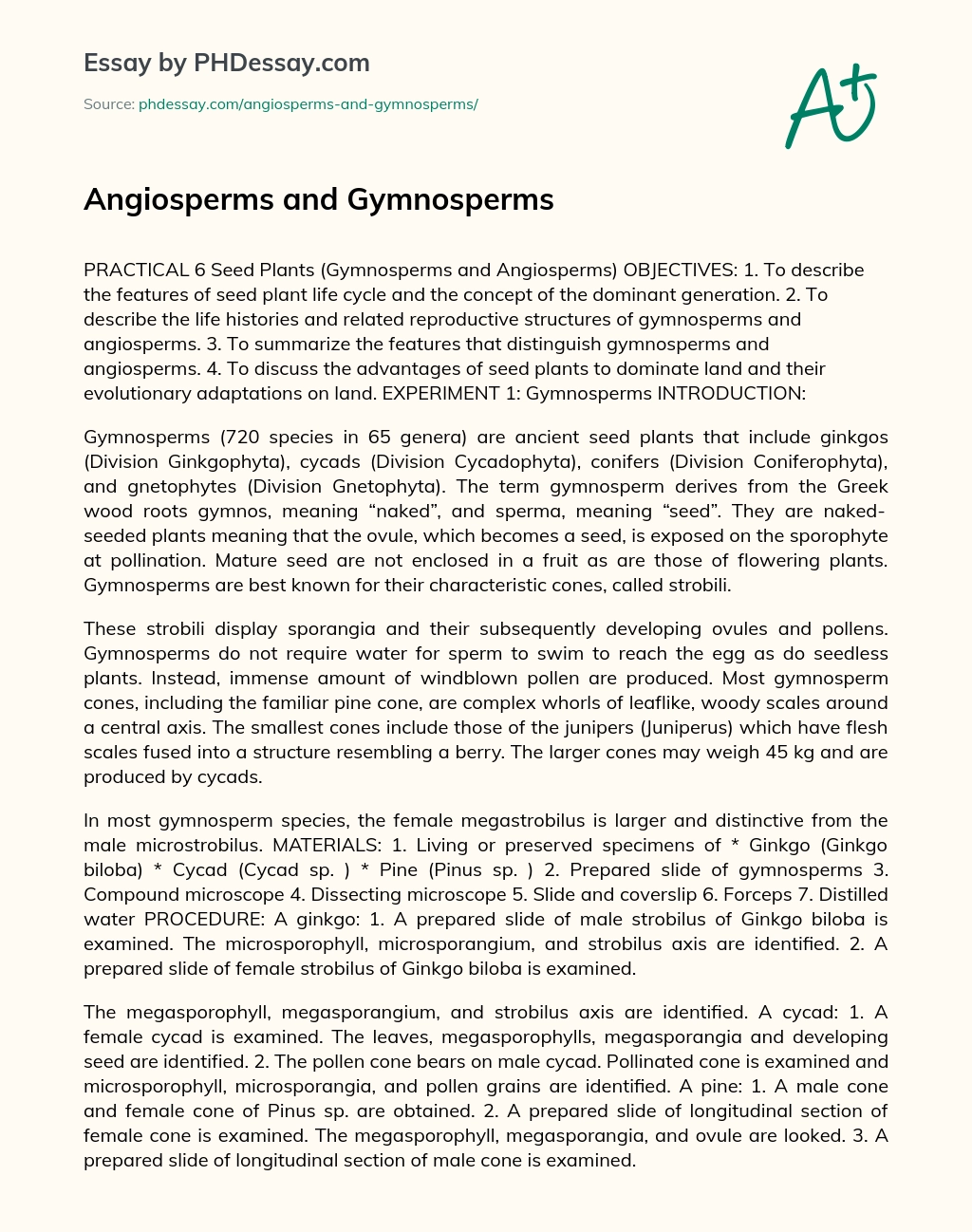 Angiosperms and Gymnosperms essay