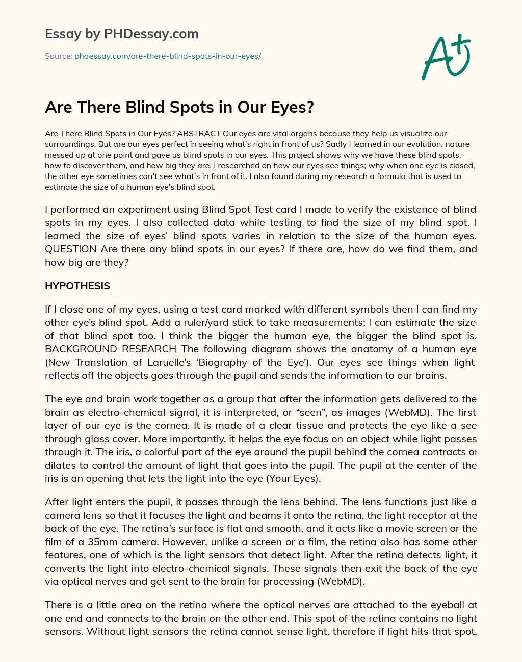 Are There Blind Spots in Our Eyes? essay