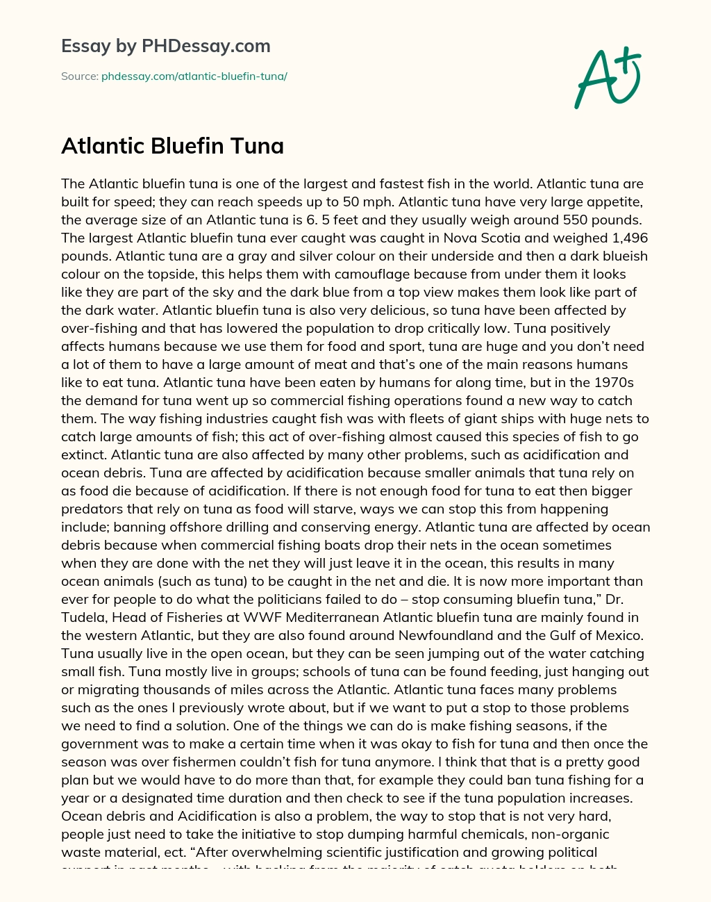 Atlantic Bluefin Tuna essay