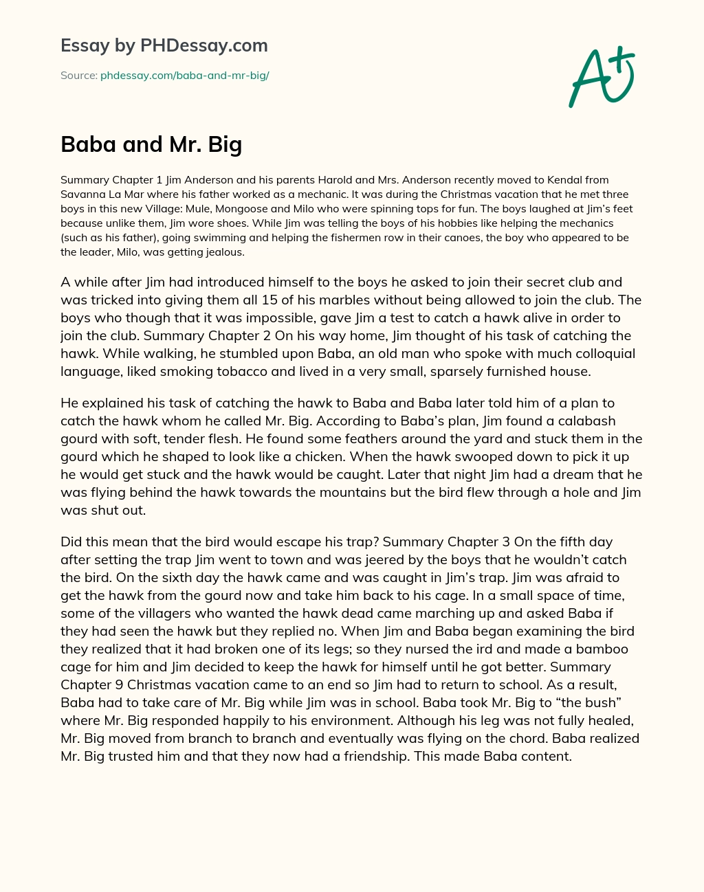 Baba and Mr. Big essay