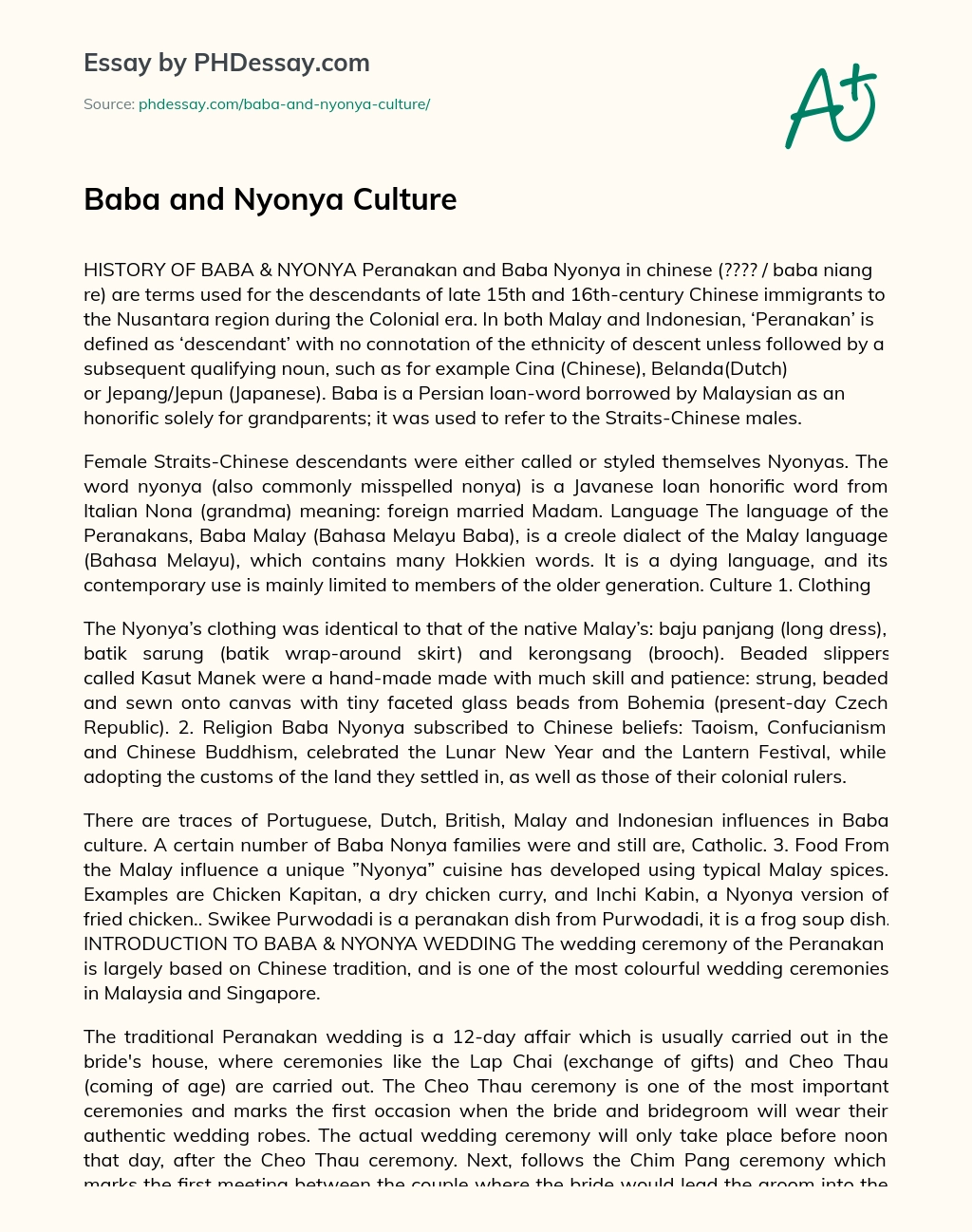 Baba and Nyonya Culture essay
