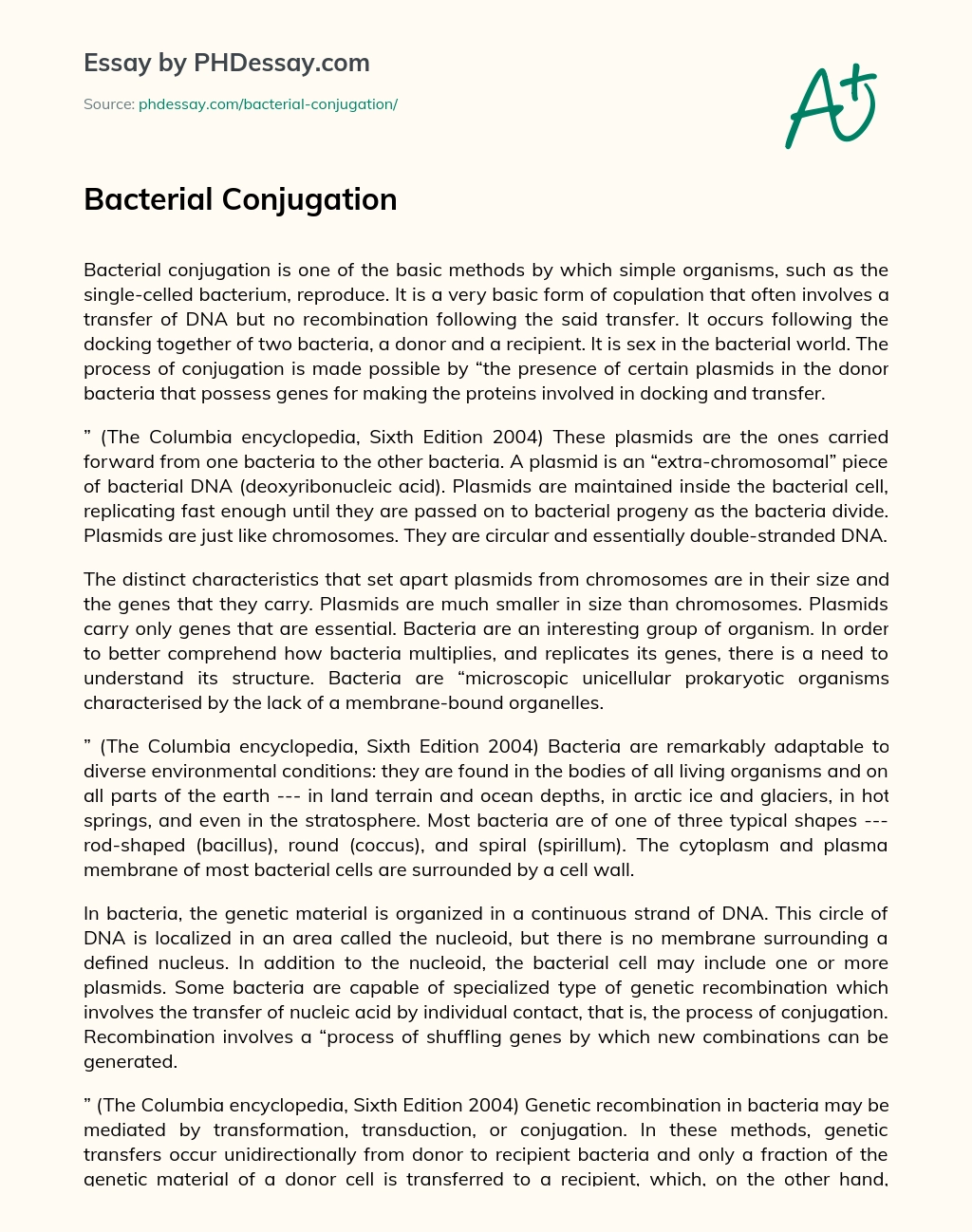 Bacterial Conjugation essay