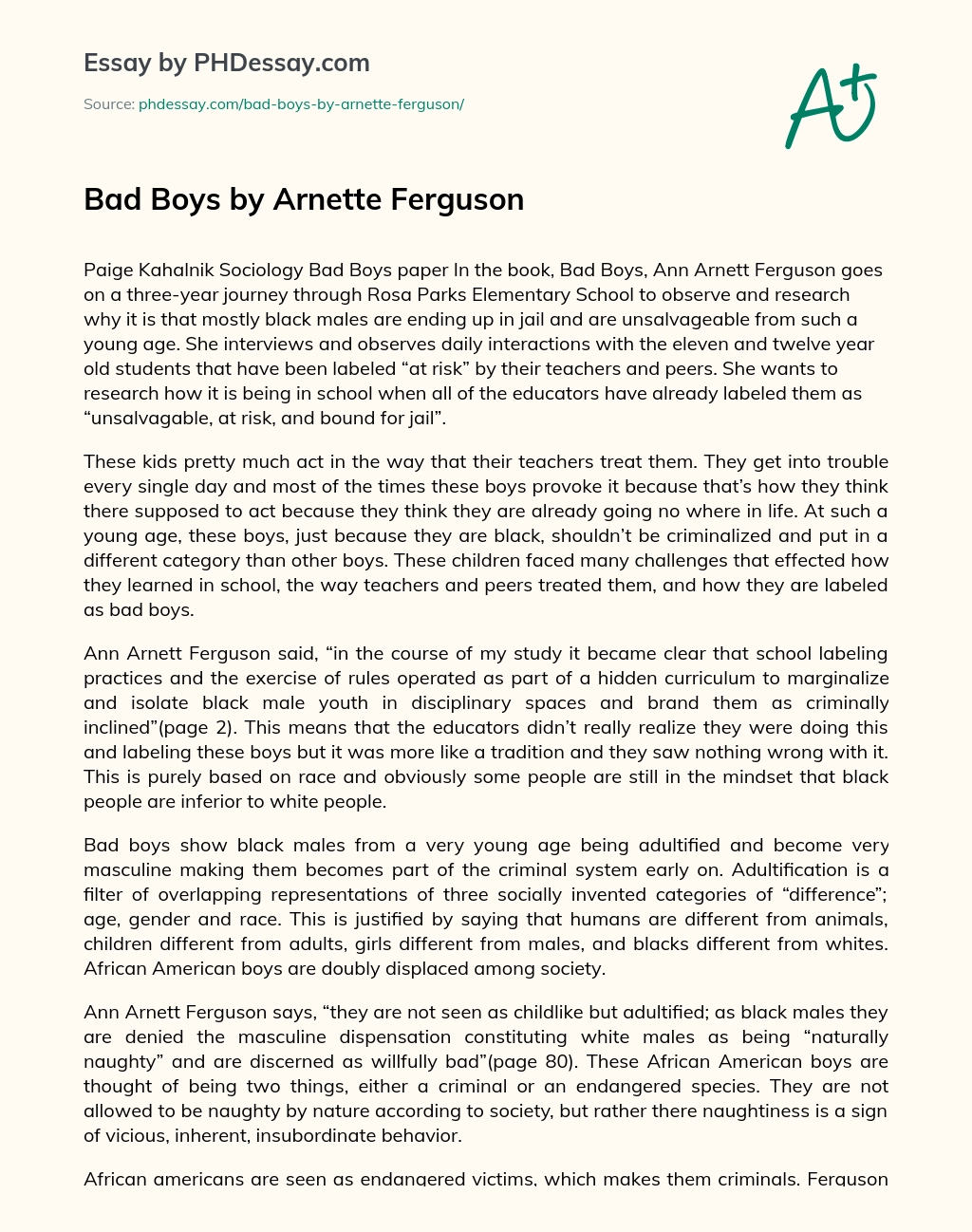 Bad Boys by Arnette Ferguson essay