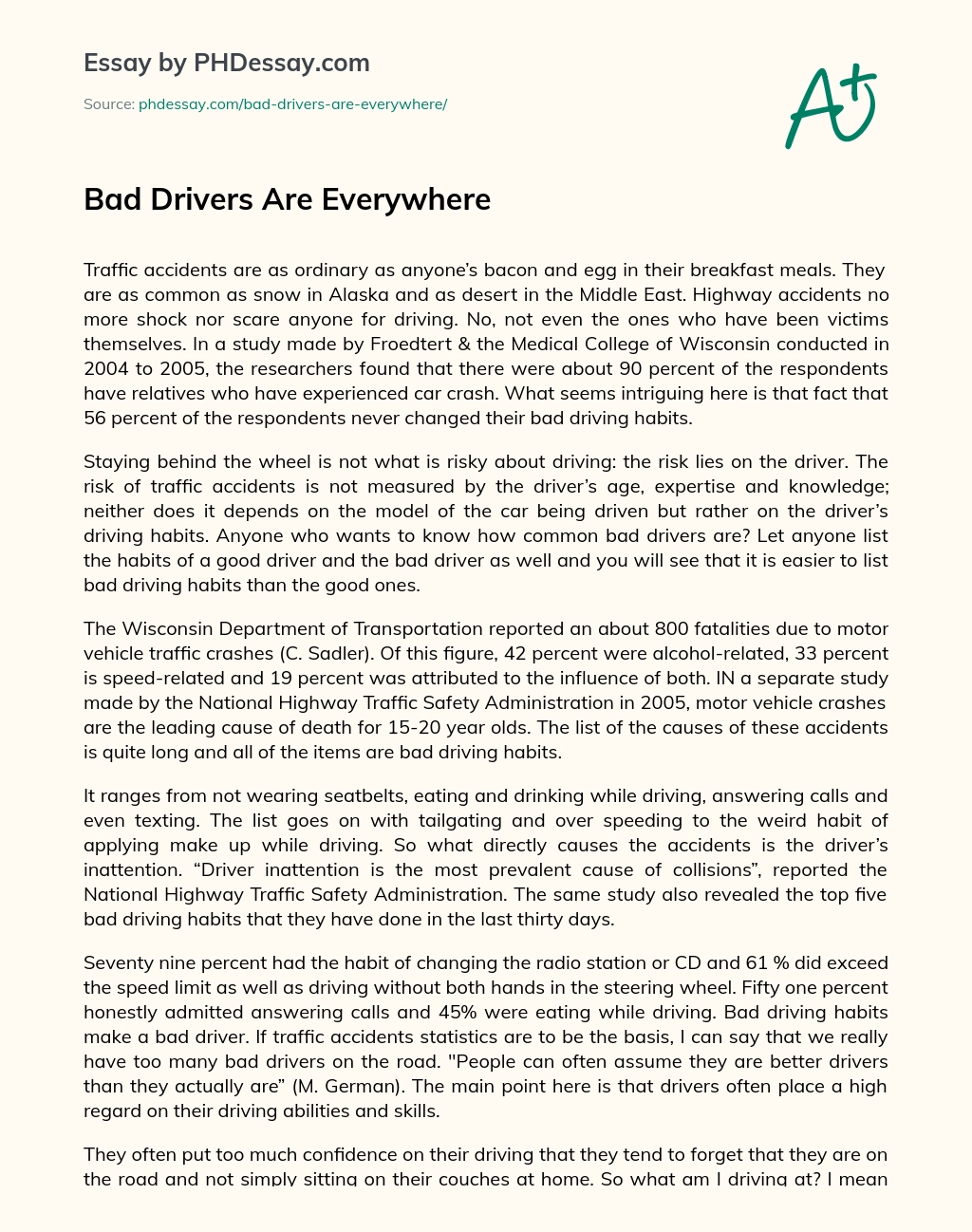 Bad Drivers Are Everywhere essay