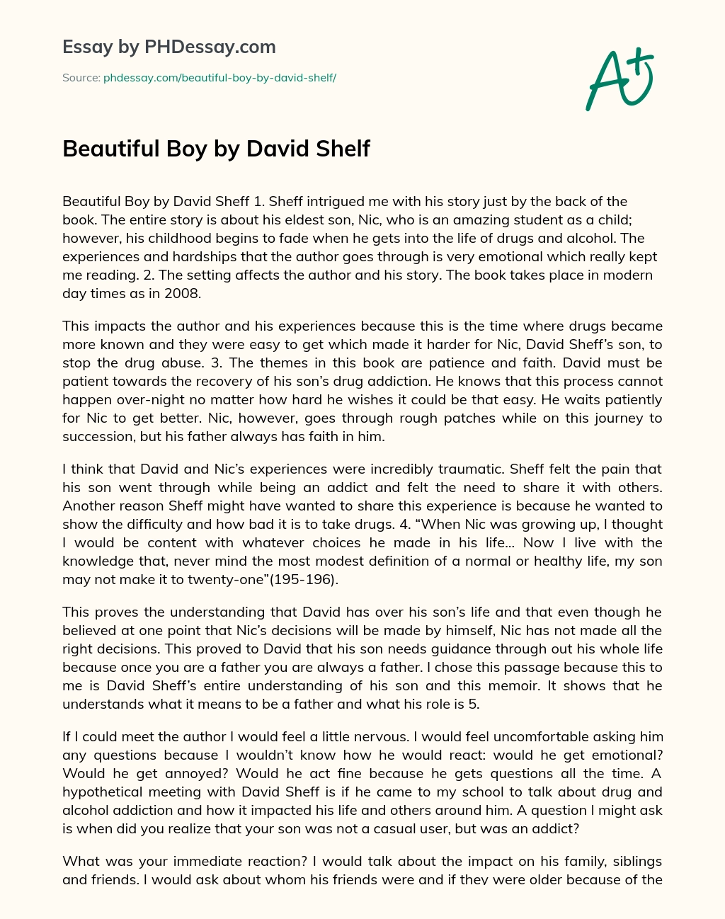 Beautiful Boy by David Shelf essay