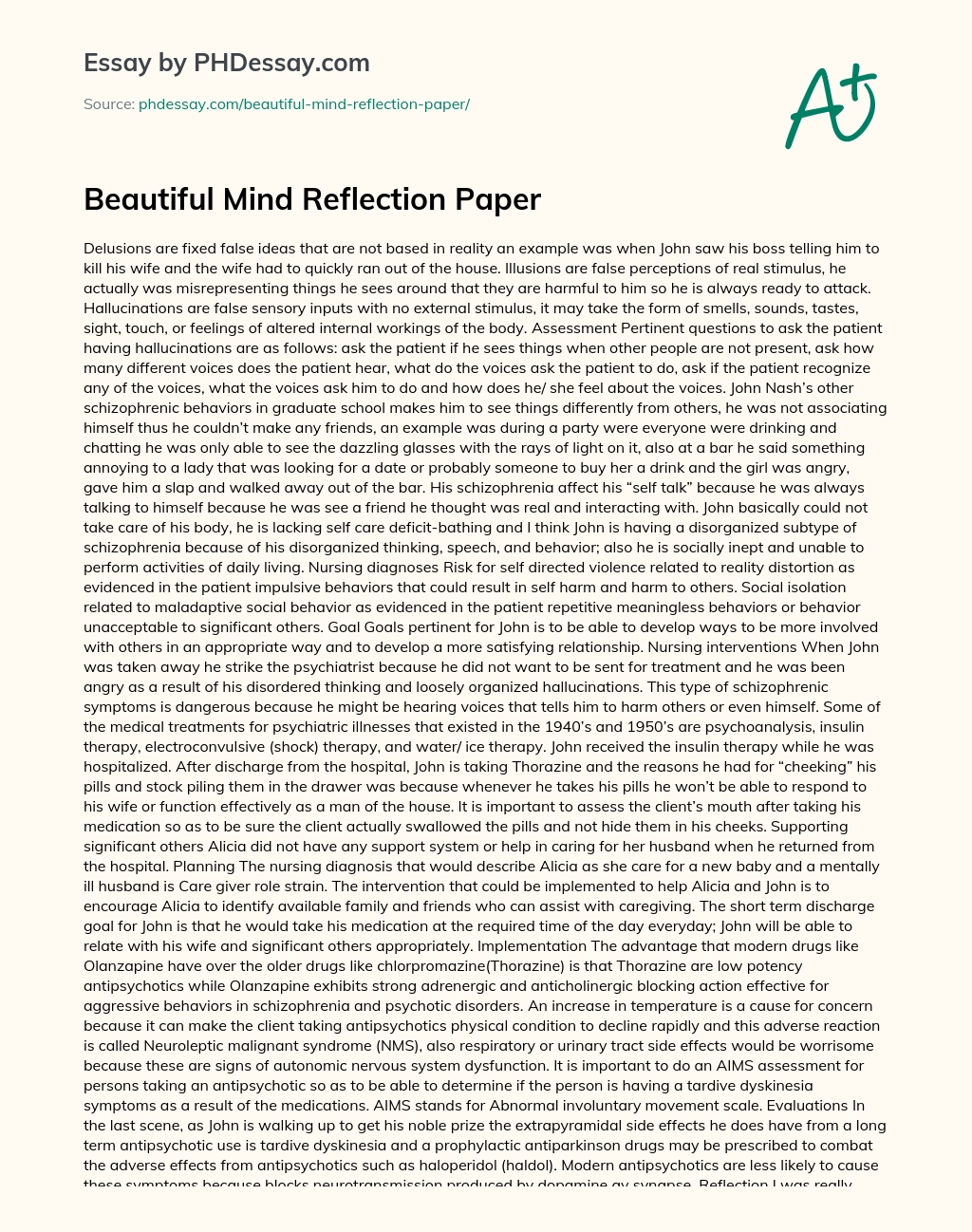 Beautiful Mind Reflection Paper essay