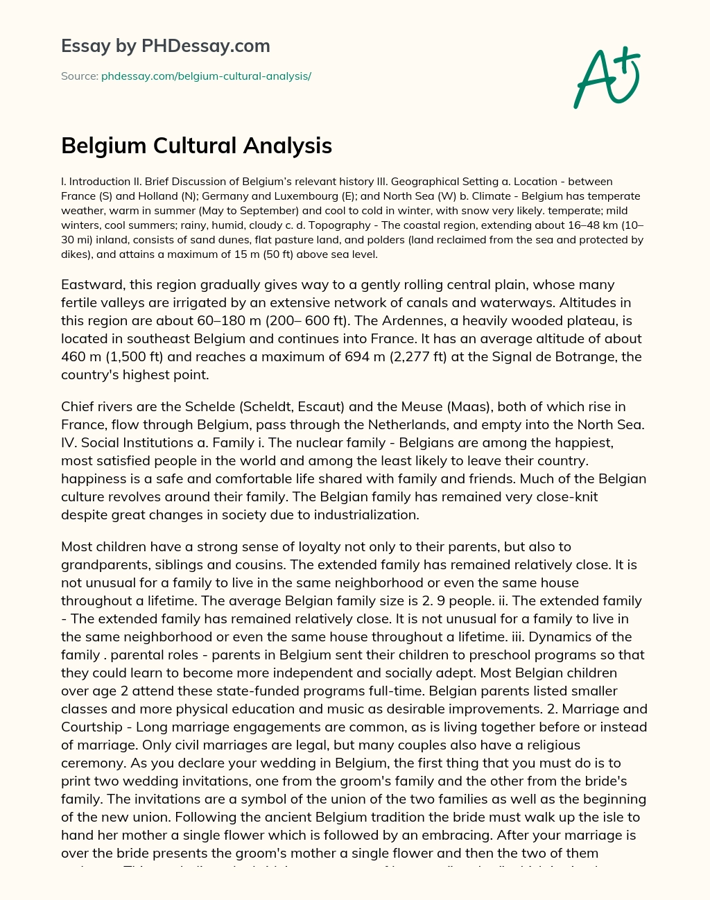 Belgium Cultural Analysis essay