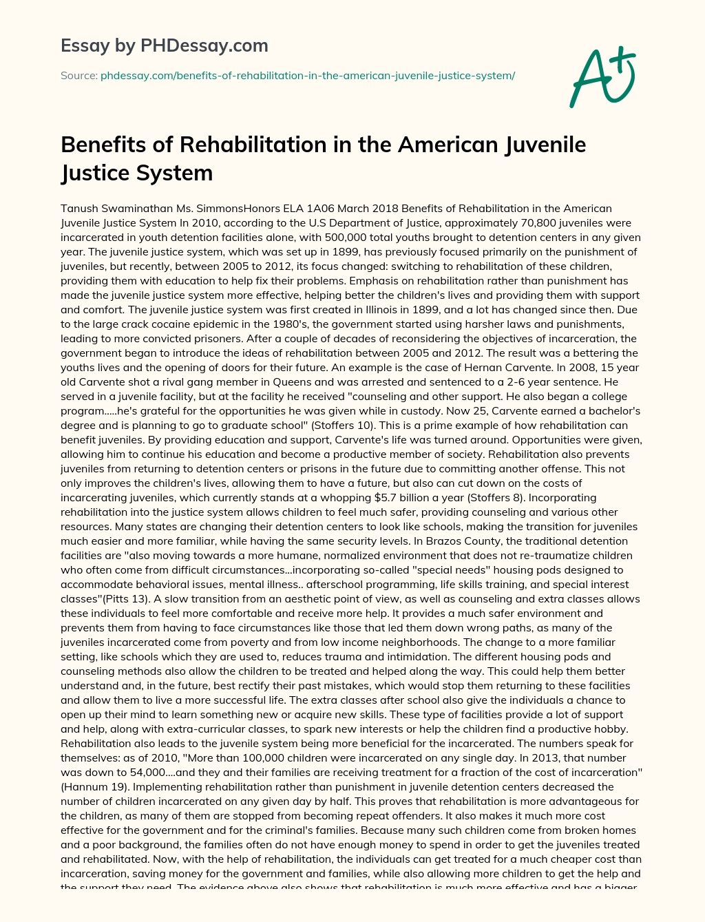 Benefits of Rehabilitation in the American Juvenile Justice System essay