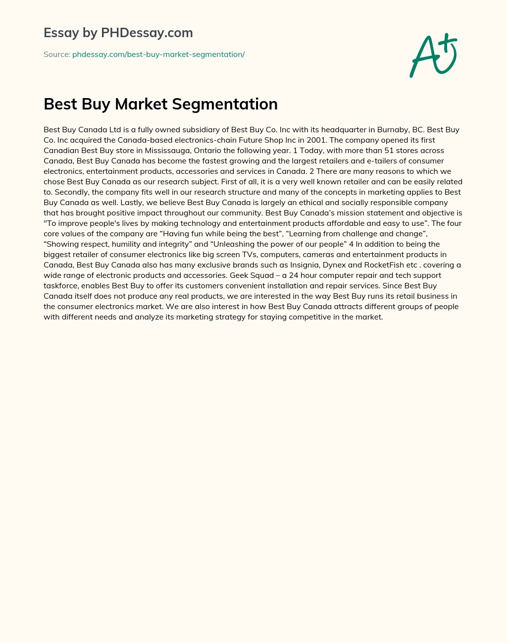 Best Buy Market Segmentation essay
