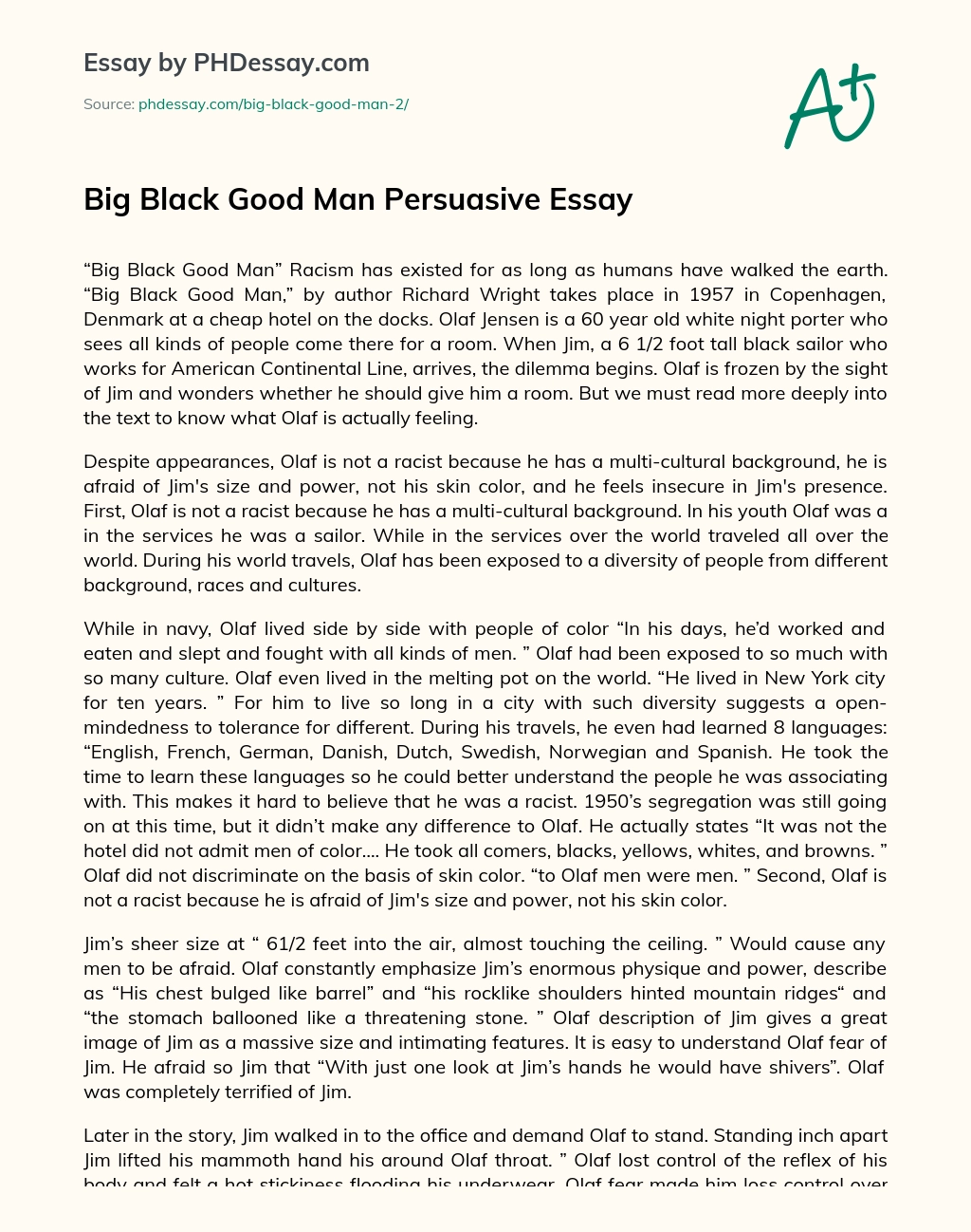 Big Black Good Man Persuasive Essay essay