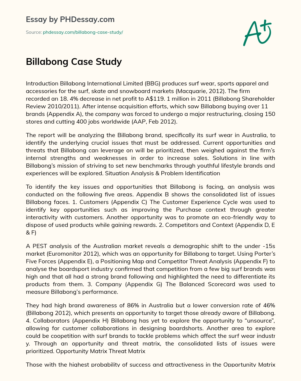 Billabong Case Study essay