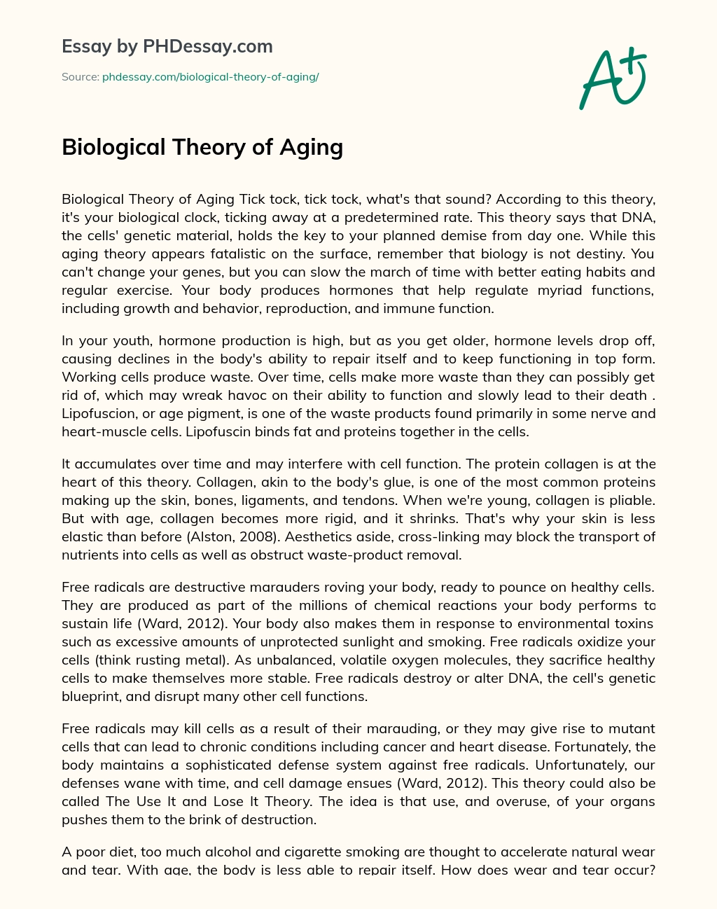 Biological Theory of Aging essay