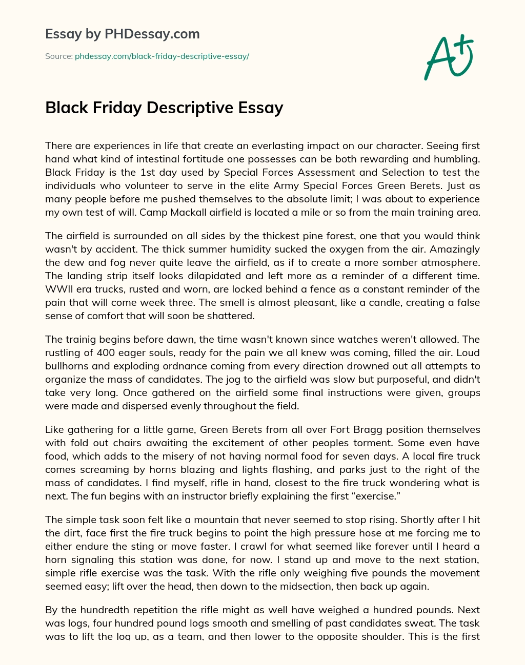 Black Friday Descriptive Essay essay