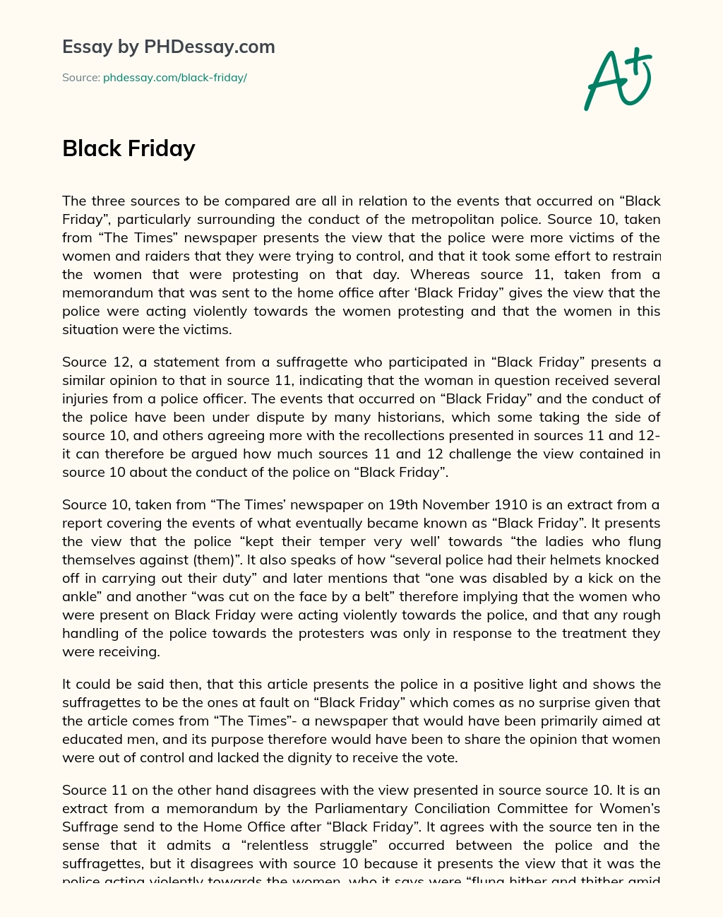 Different perspectives on police conduct during Black Friday protests essay