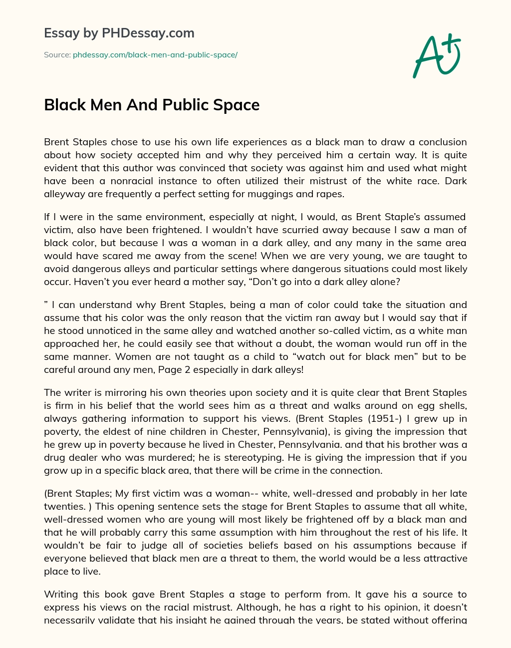 Black Men And Public Space essay