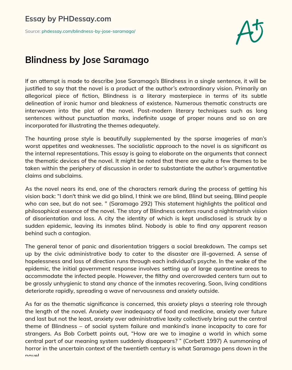 Blindness by Jose Saramago essay