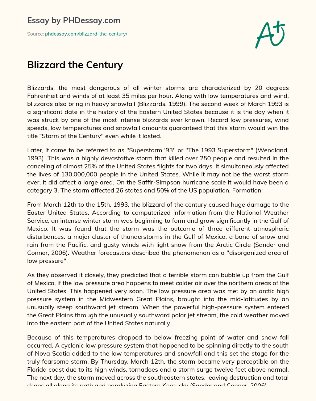 Blizzard the Century essay