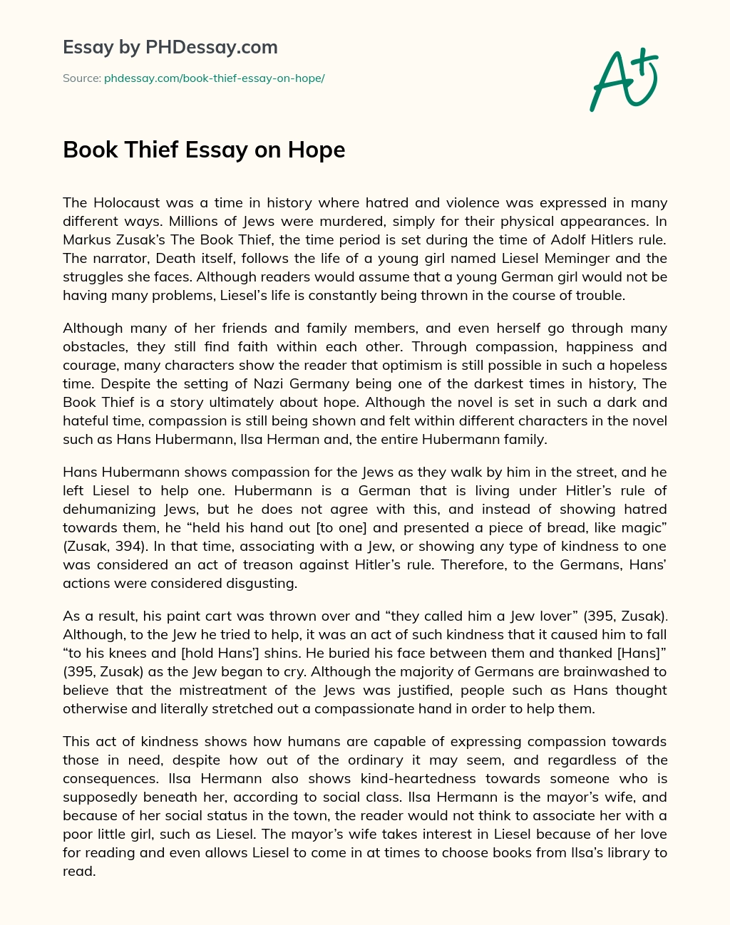 Book Thief Essay on Hope essay