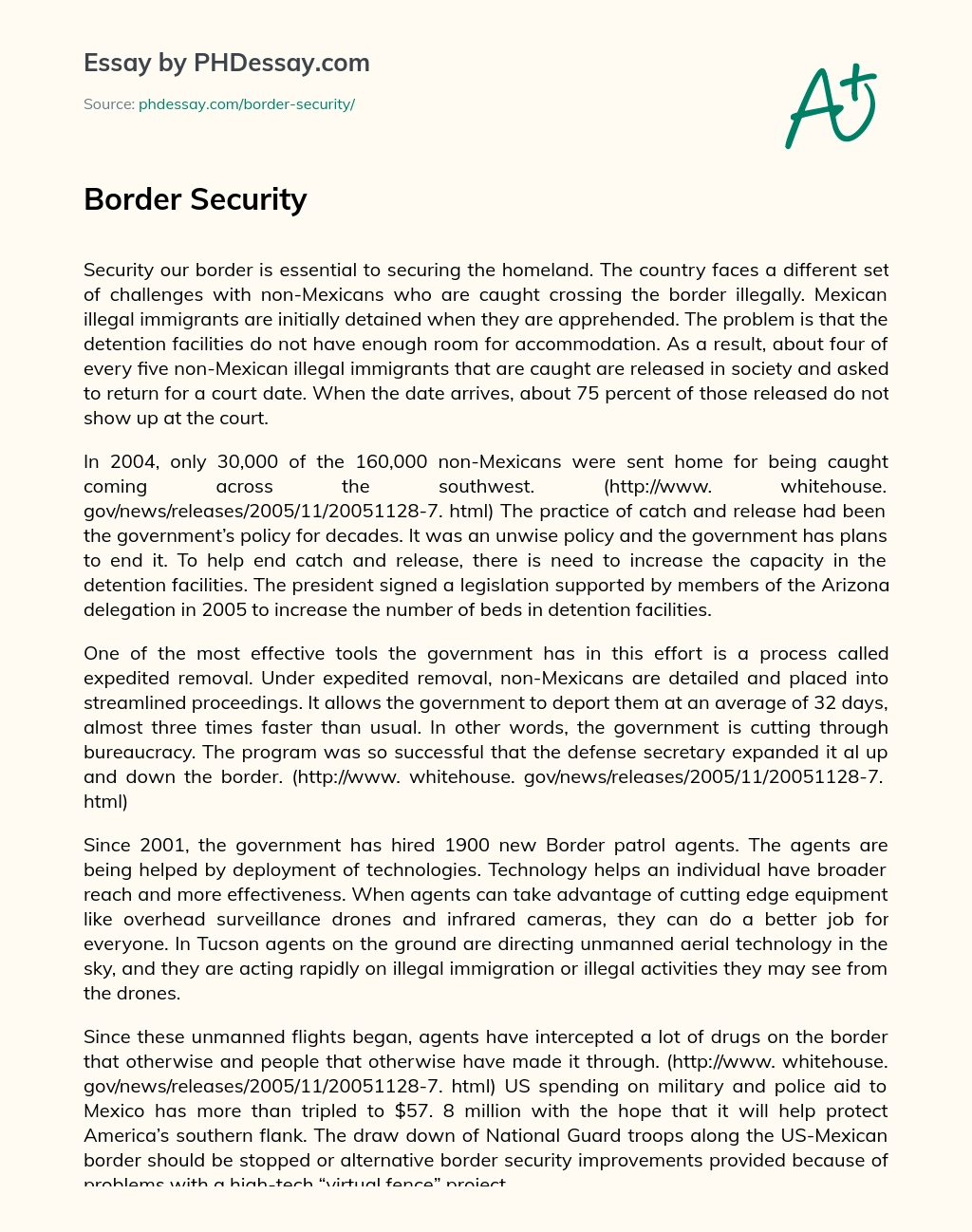 Border Security essay