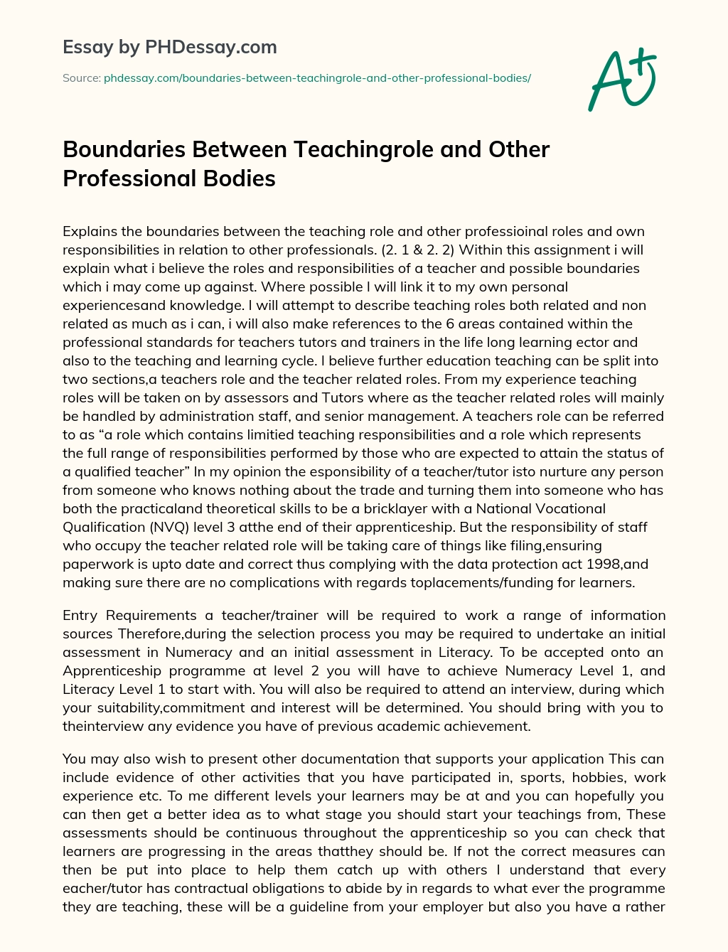 Boundaries Between Teachingrole and Other Professional Bodies essay