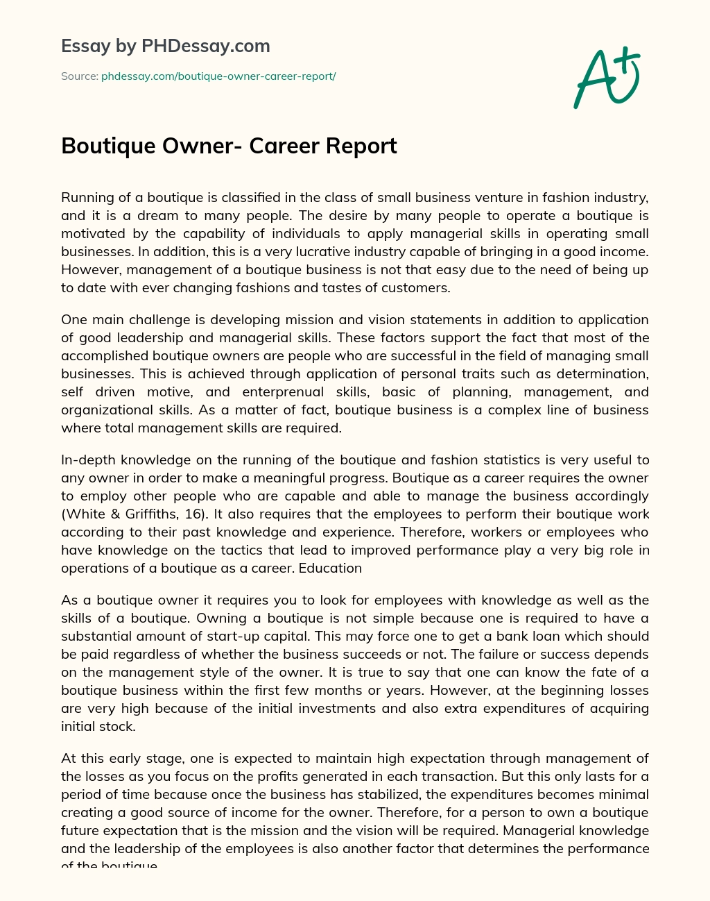 Boutique Owner- Career Report essay