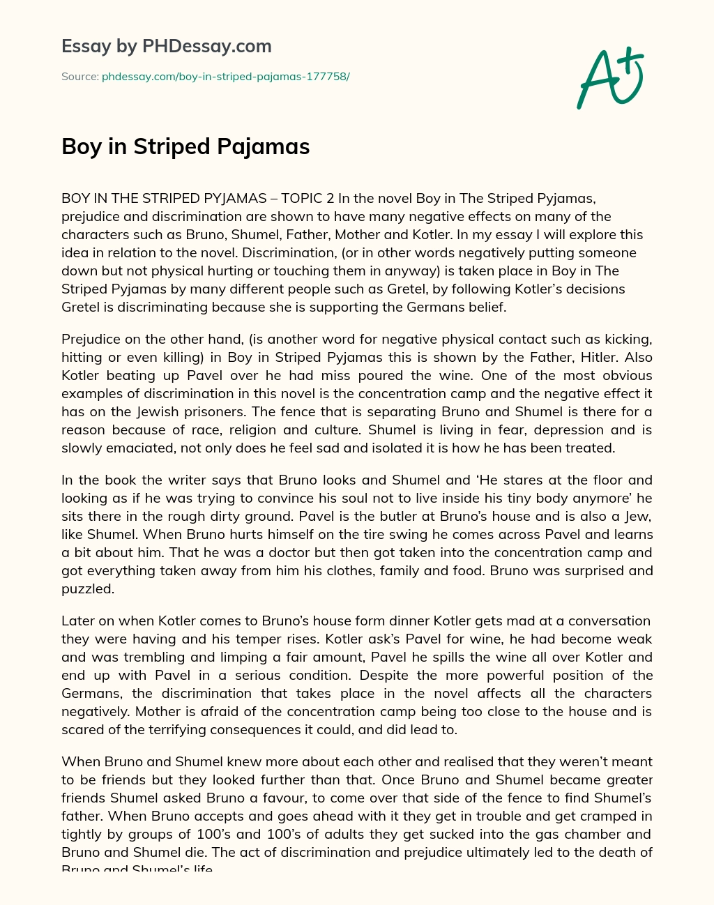 Boy in Striped Pajamas essay