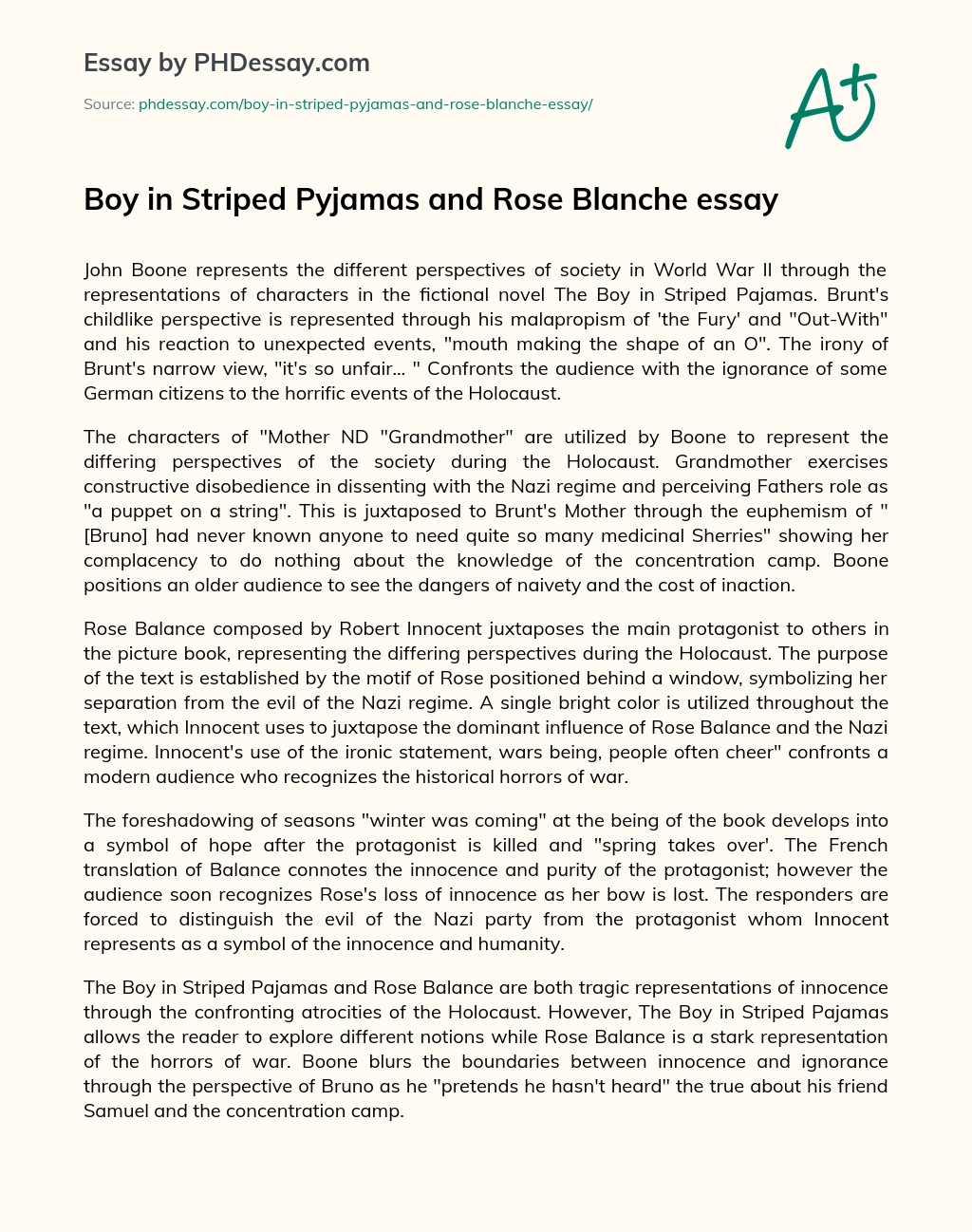 Boy in Striped Pyjamas and Rose Blanche essay essay