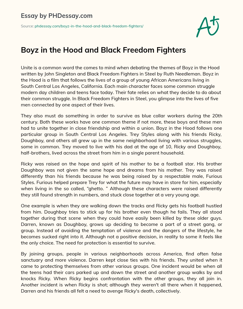 Boyz in the Hood and Black Freedom Fighters essay