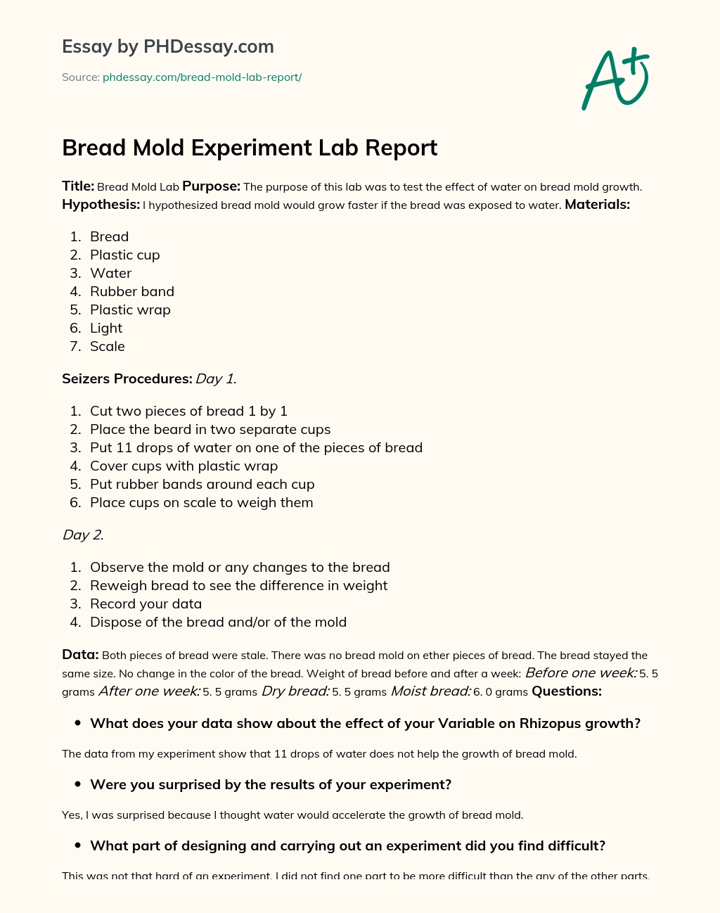 Bread Mold Experiment Lab Report essay