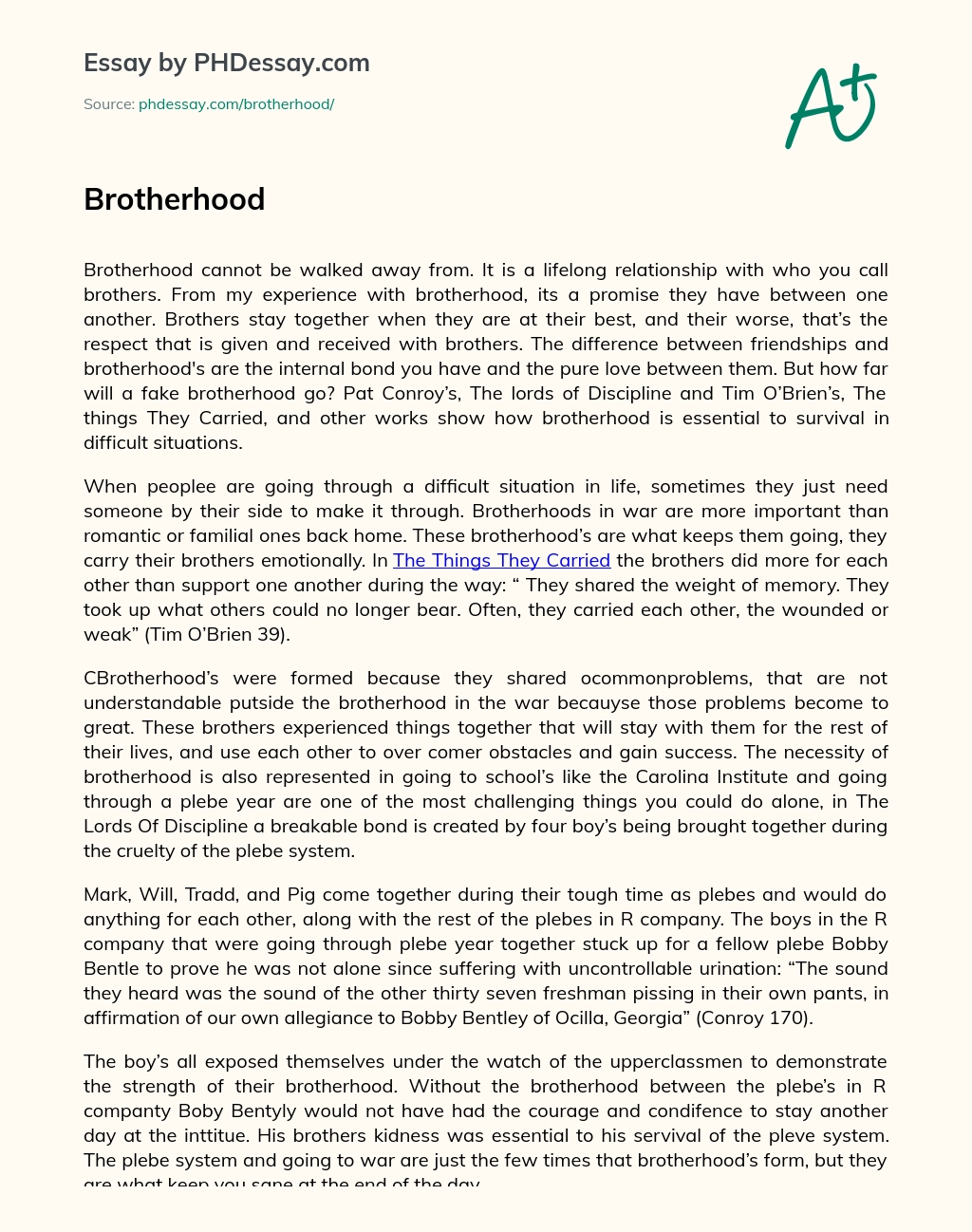 Brotherhood essay