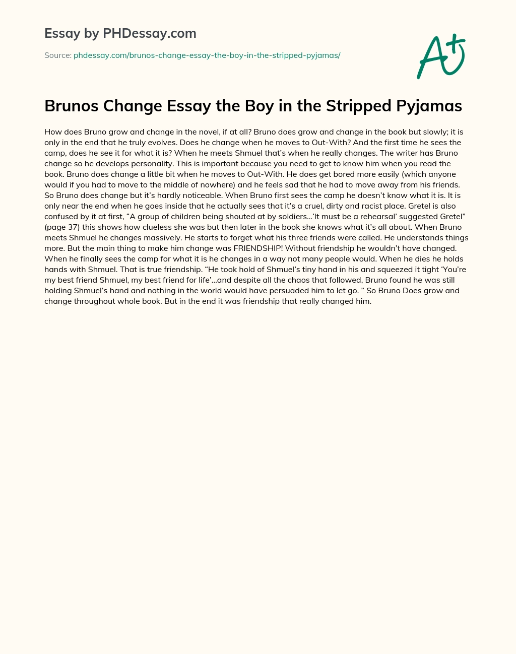 Brunos Change Essay the Boy in the Stripped Pyjamas essay