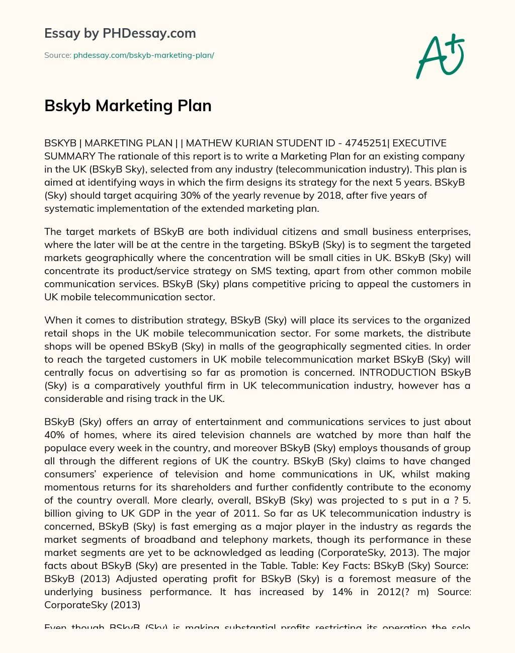 Bskyb Marketing Plan essay