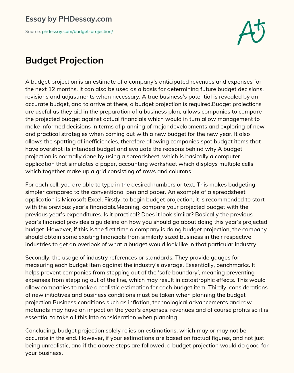 Budget Projection essay