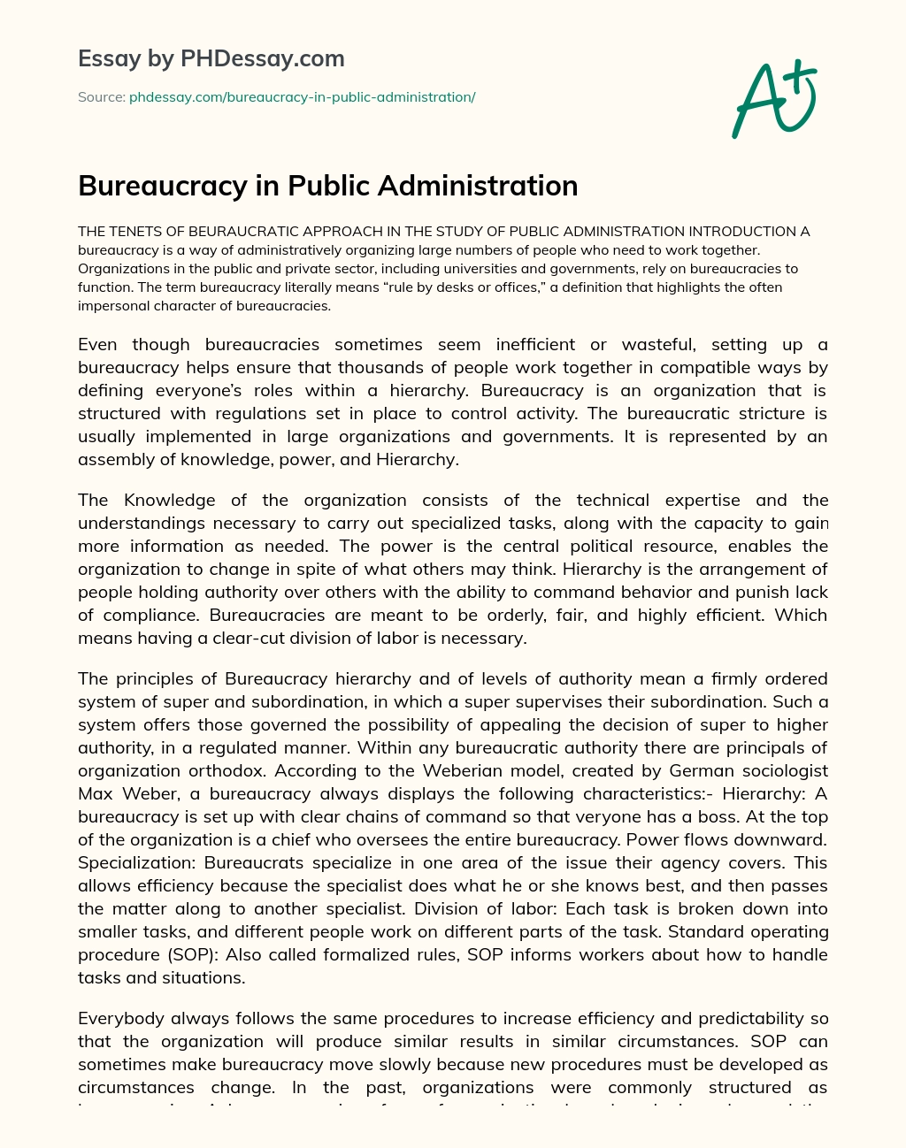 Bureaucracy in Public Administration essay